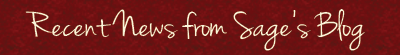 Recent News from the Blog
